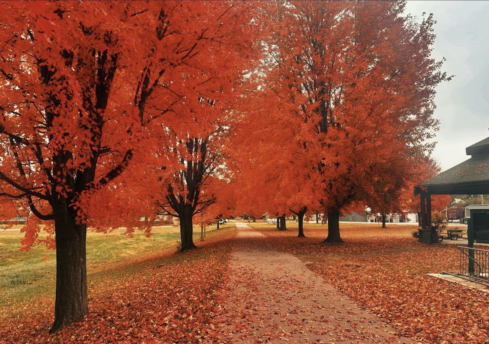 Thankful for Healthy Spaces: Celebrating Pesticide-Free Progress – November 2025